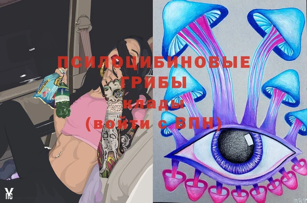 дживик Вяземский
